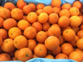 Clementine