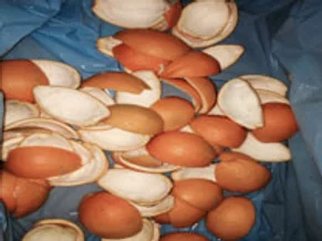Buccia di Arancia a Quarti